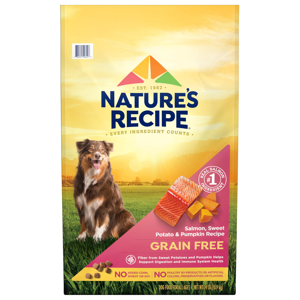 Nature's Recipe Grain Free Salmon bag front grain-free formula supports digestion