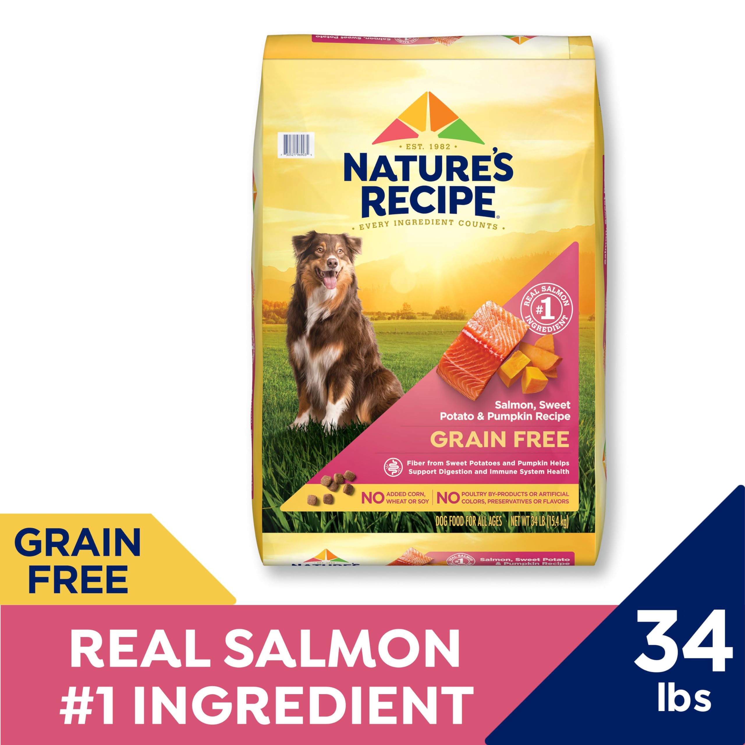 Nature's Recipe salmon-kibble-closeup emphasizes real salmon as primary ingredient