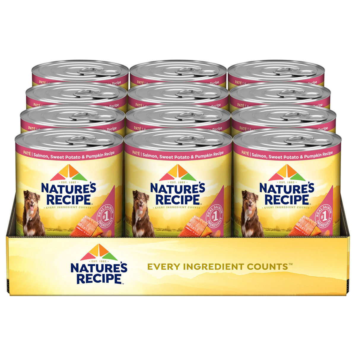 Nature's Recipe salmon-wet-dog-food can close-up highlights premium protein from real salmon