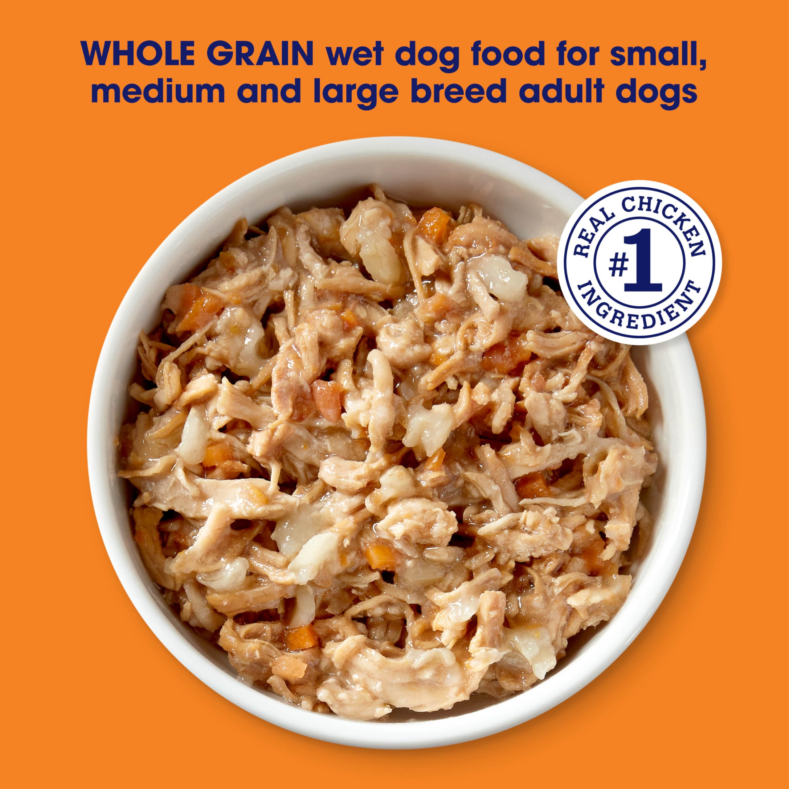 Nature's Recipe savory broth cup image emphasizes moisture-rich meals for dogs.