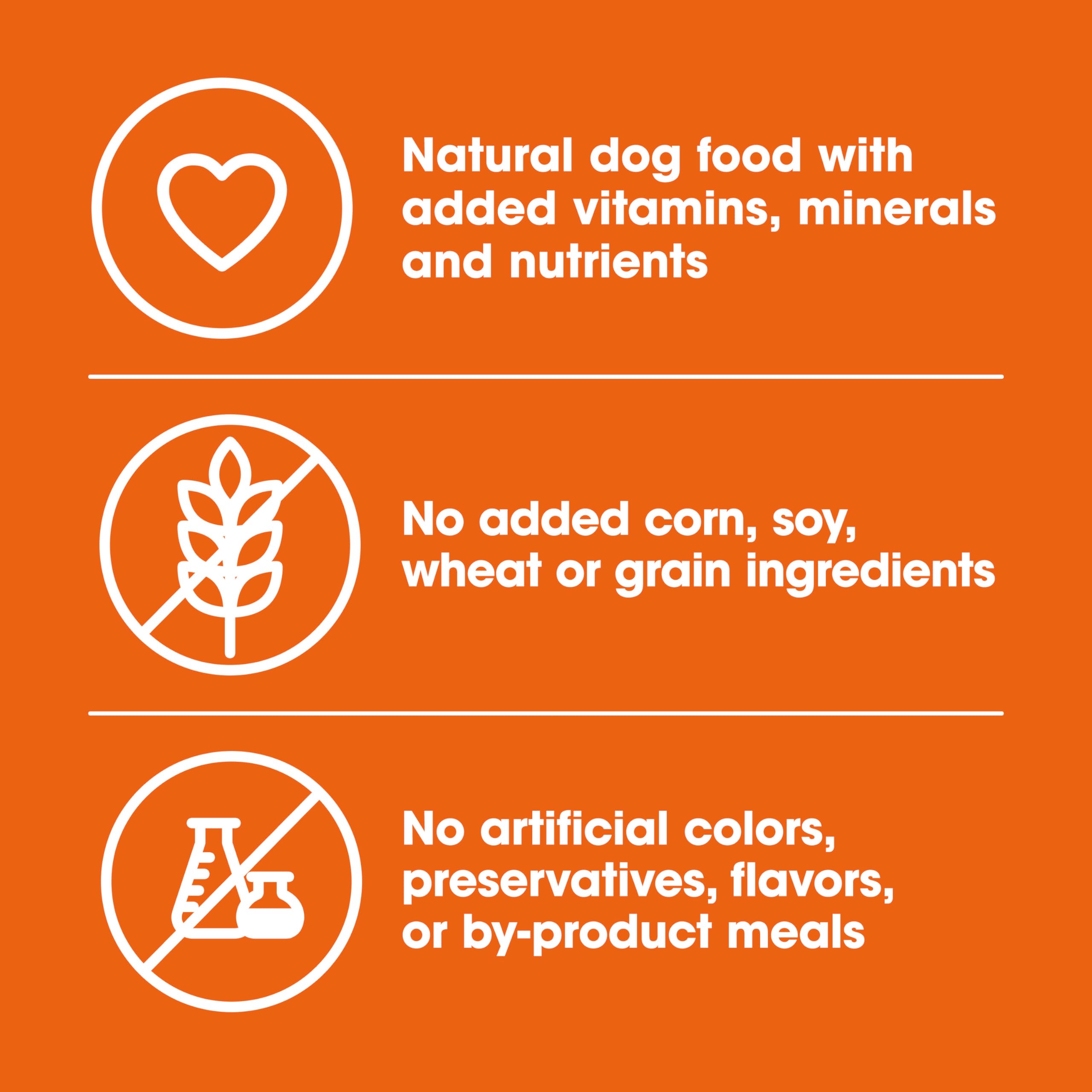 Serving bowl with Nature’s Recipe wet dog food – appetizing meal for pets.