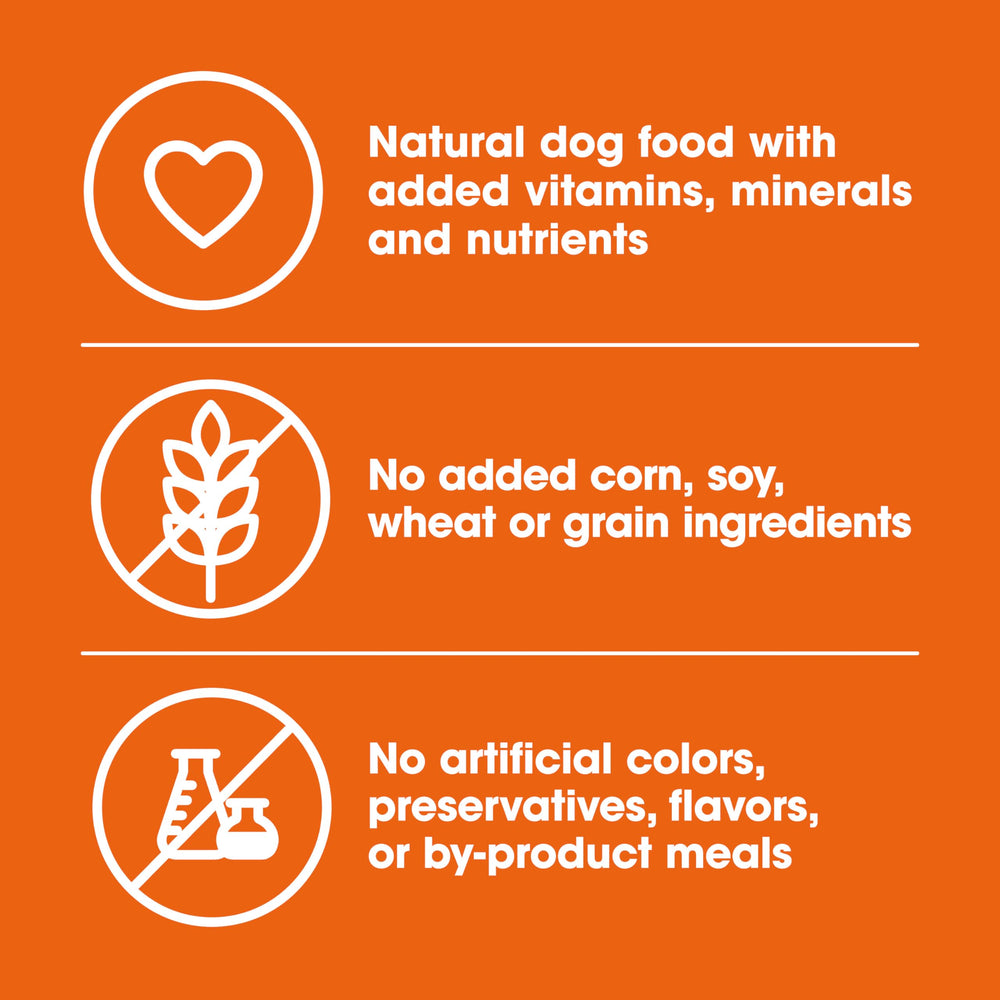 Serving bowl with Nature’s Recipe wet dog food – appetizing meal for pets.
