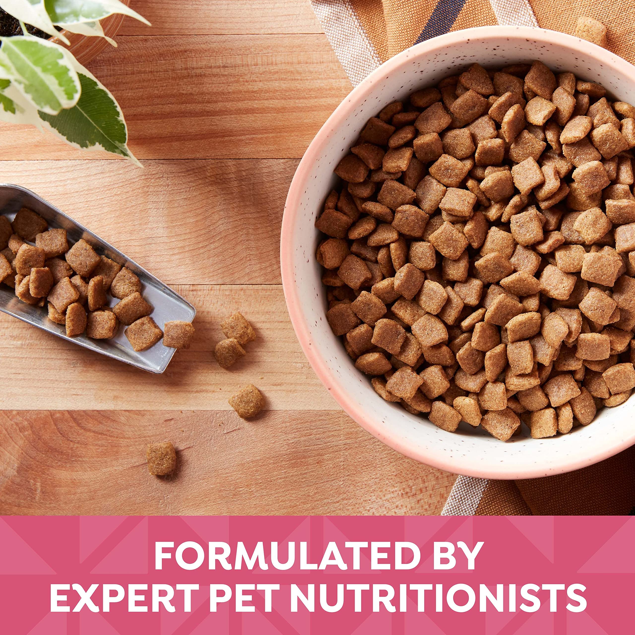 Nature's Recipe skin-coat-health kibble image hints at omega fatty acids