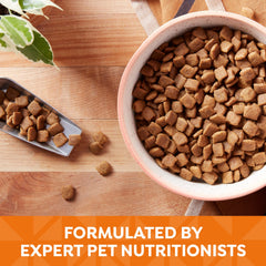 Nature's Recipe sweet potato and pumpkin fibers close-up highlight natural digestion support.
