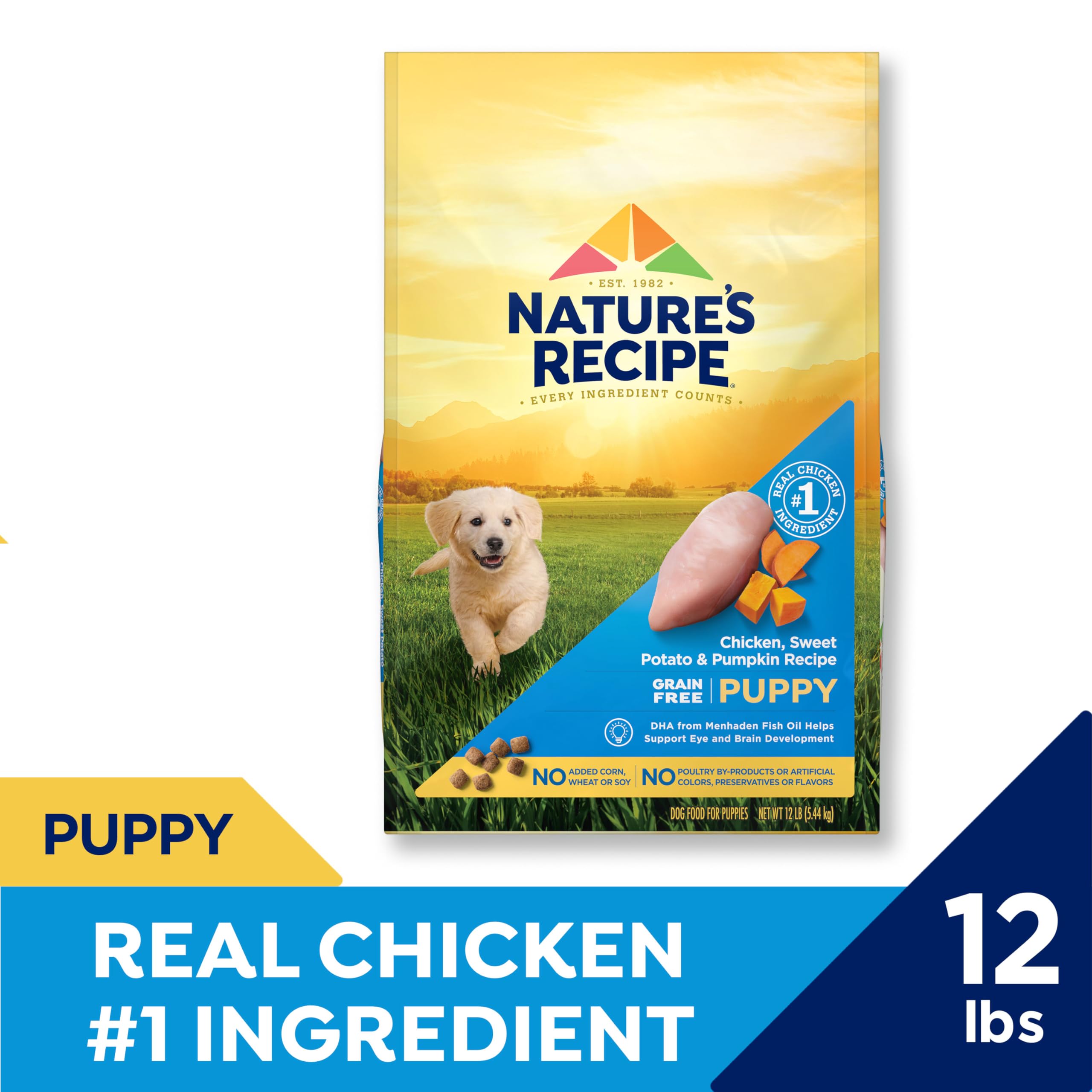 Nature's Recipe sweet potato pumpkin fiber image emphasizes digestion and immune health
