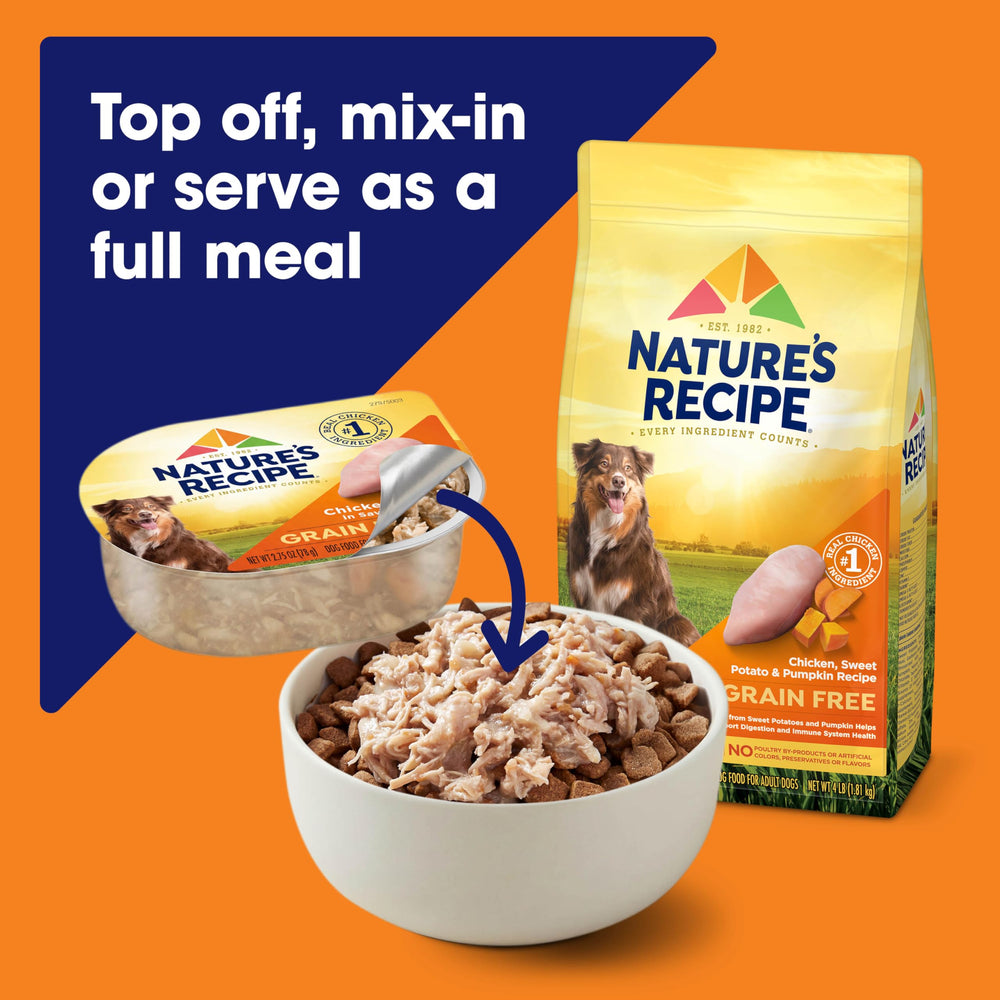 Nature's Recipe variety-pack box displays three flavors for meal-time variety