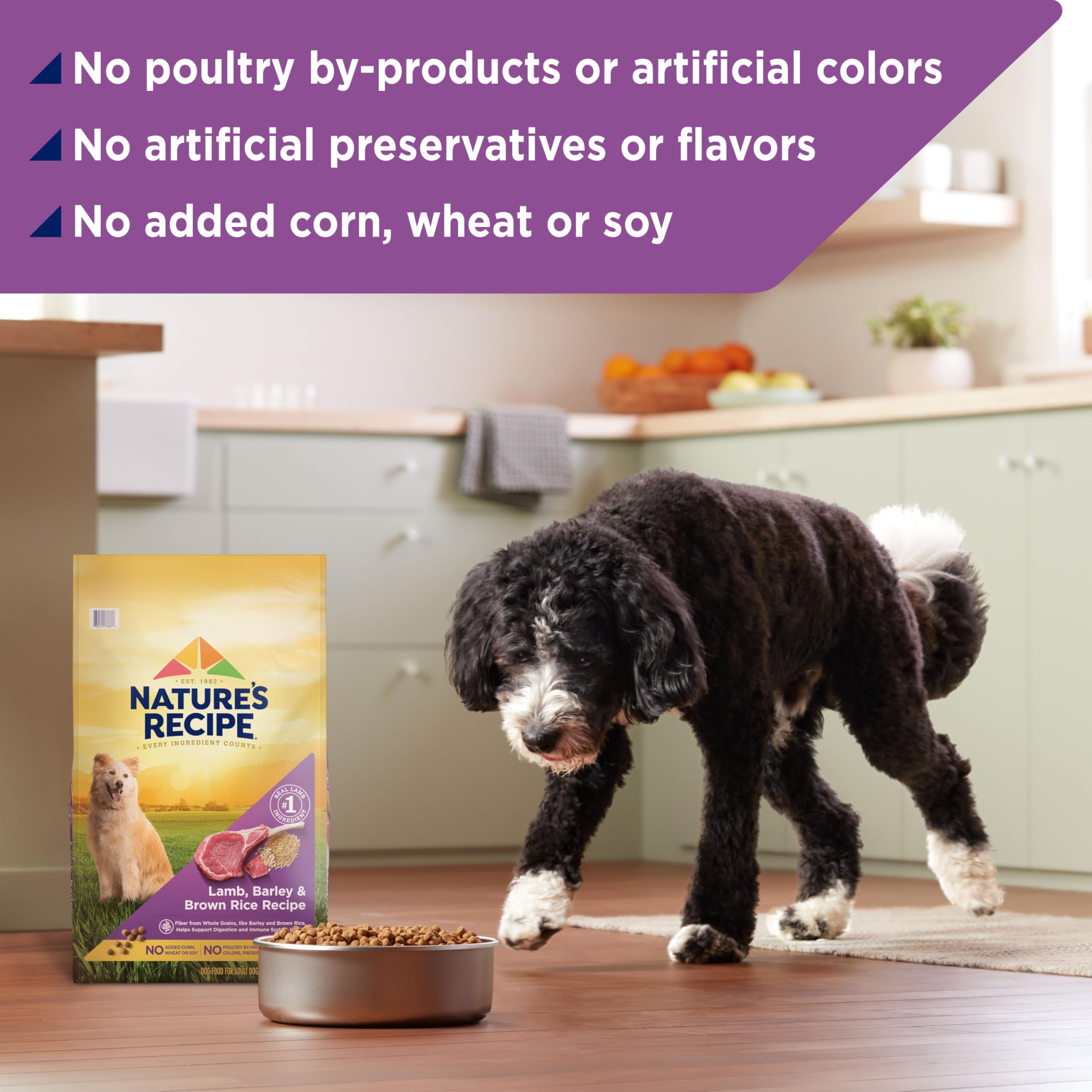 Nature's Recipe whole grains barley brown rice detail emphasizes fiber