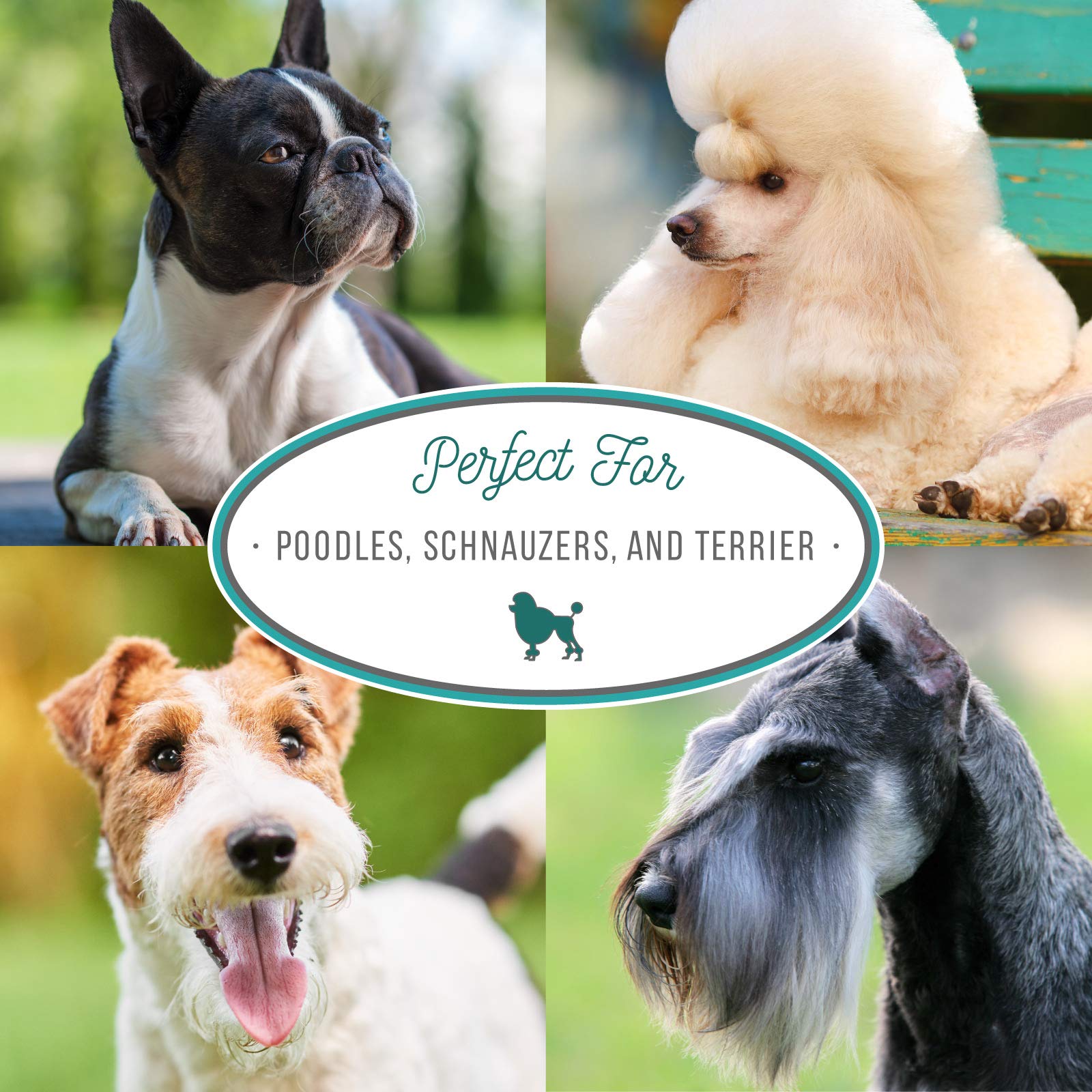 Natural formulation with Aloe Vera and vitamins for daily grooming.