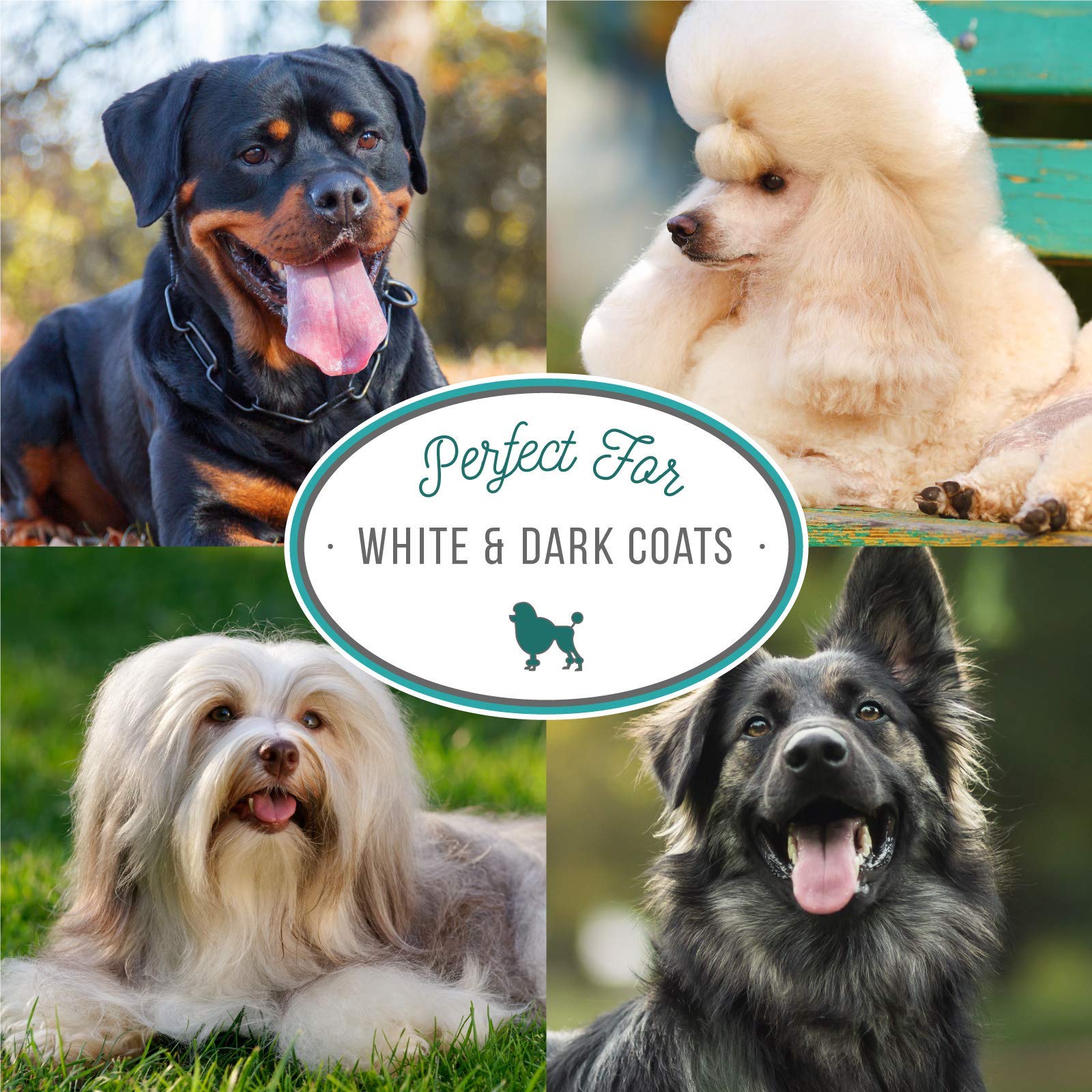 Nature's Specialties Bluing Ultra coat after wash looks shiny and hydrated