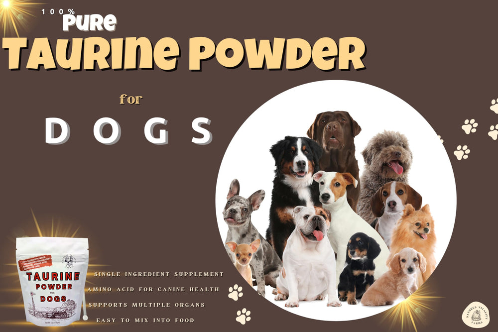 Natures Vitality Farms Taurine powder added to water for a 24-hour consumption option.