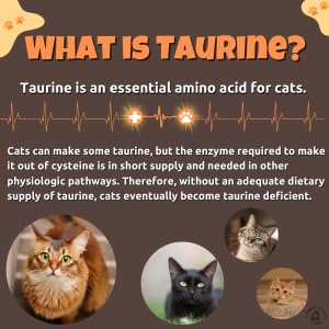 Natures Vitality Farms Taurine powder packaging seal for freshness
