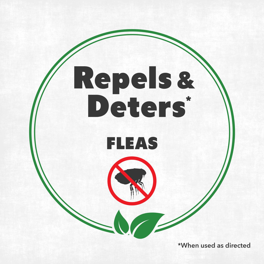 NatureStop Flea Spray demonstrates quick-action on carpet to reduce fleas