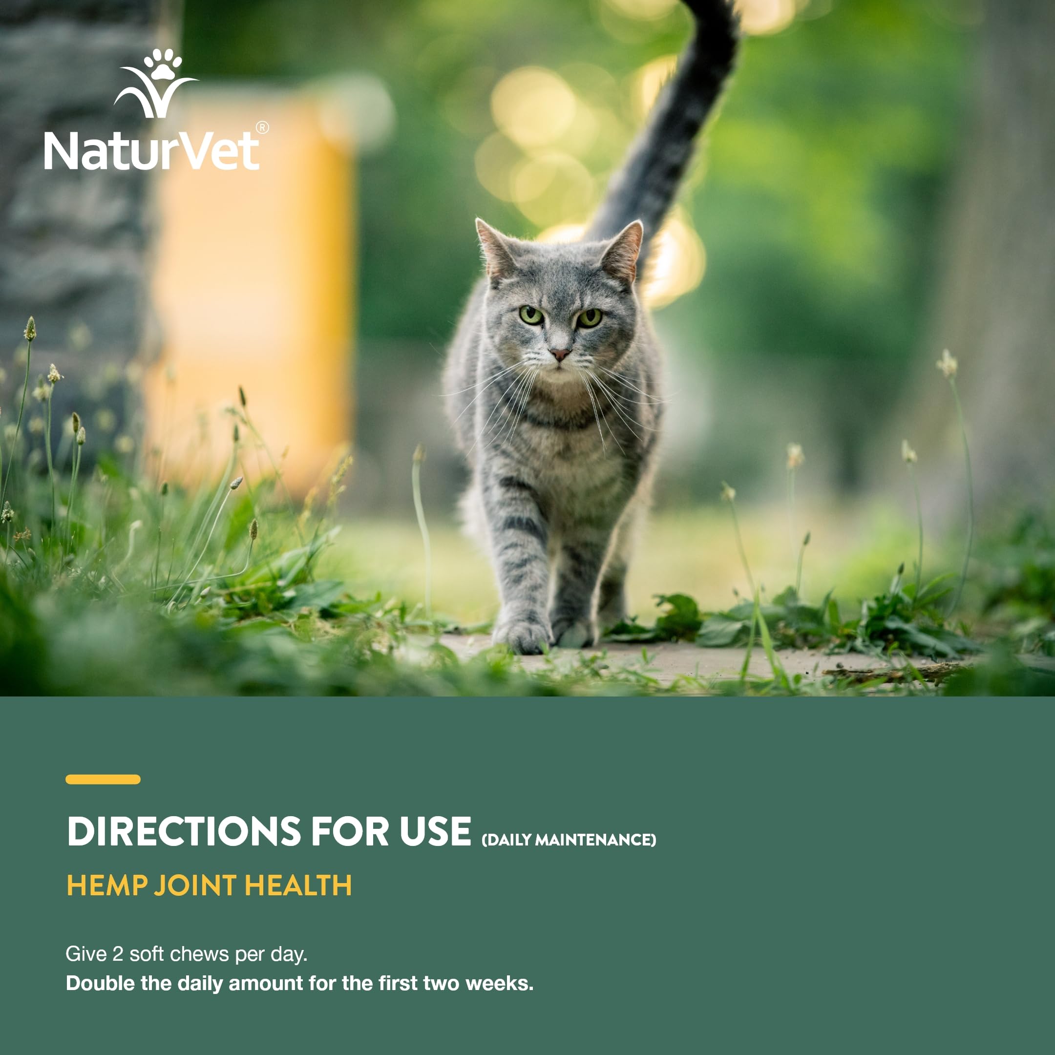 NaturVet 30-day supply packaging communicates value for cat health.