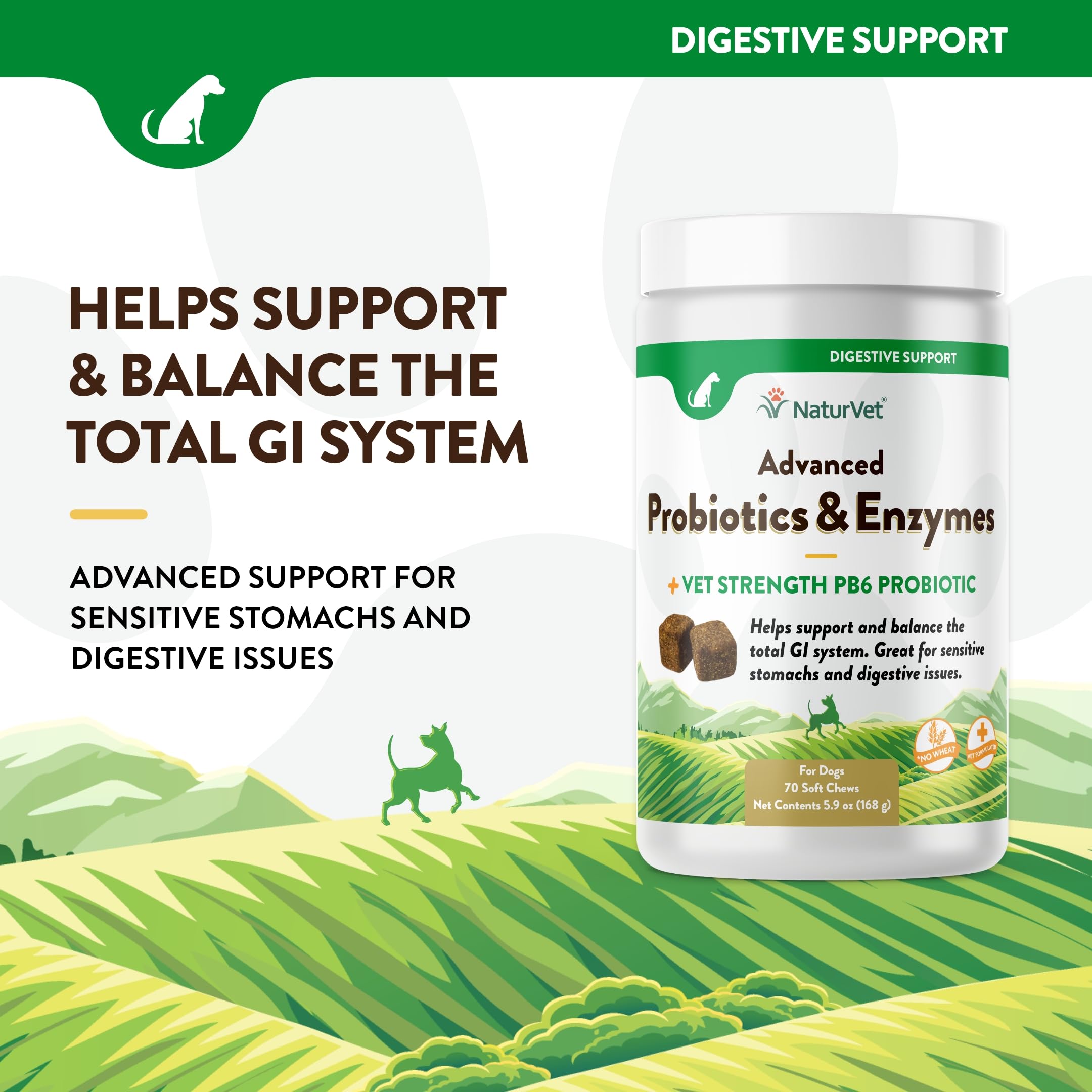 NaturVet jar of probiotic dog chews on display emphasizing easy serving.