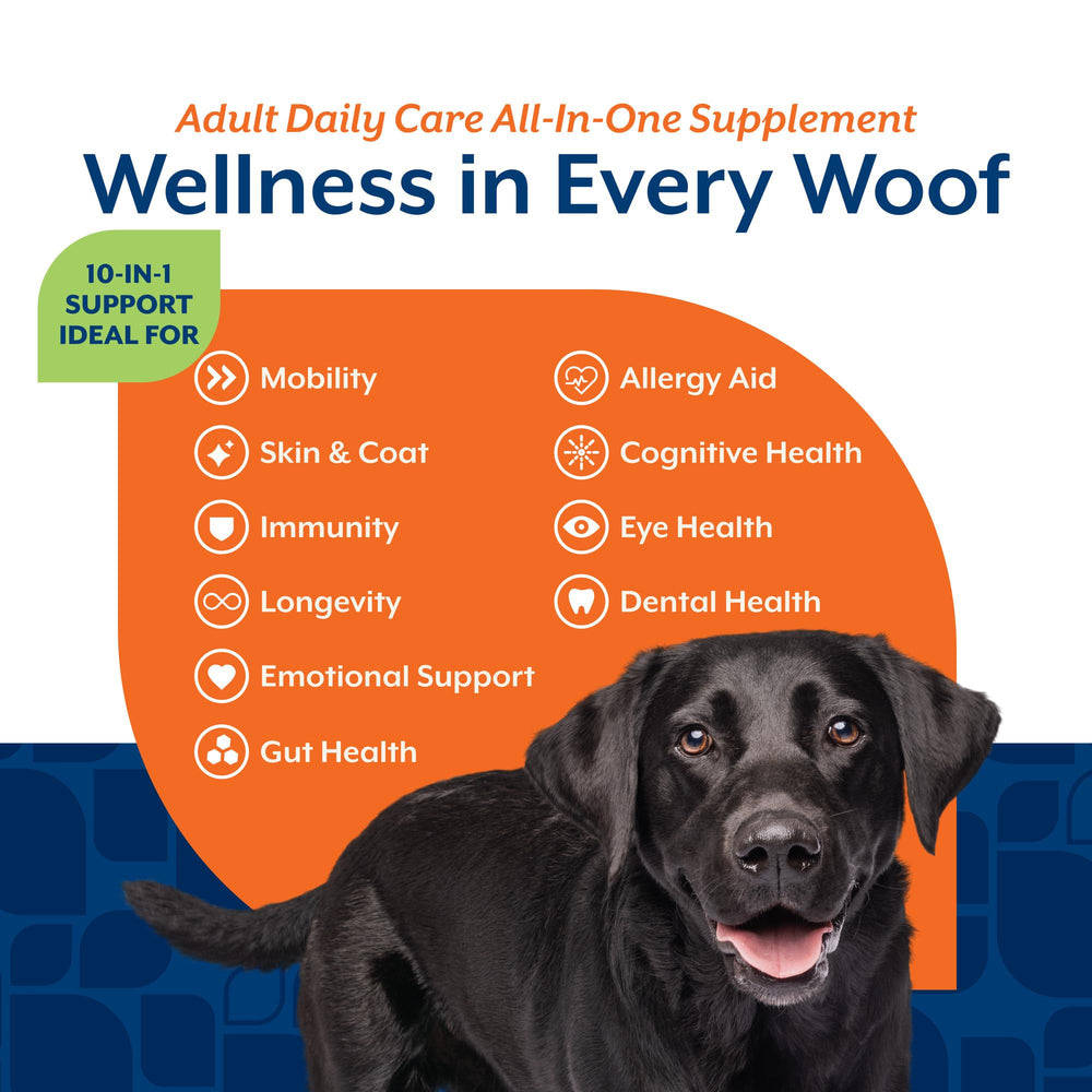 NaturVet All-In-One dog chews supporting cognition and alertness.