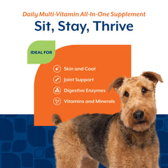 NaturVet All-in-One dog supplement probiotics balance gut health.