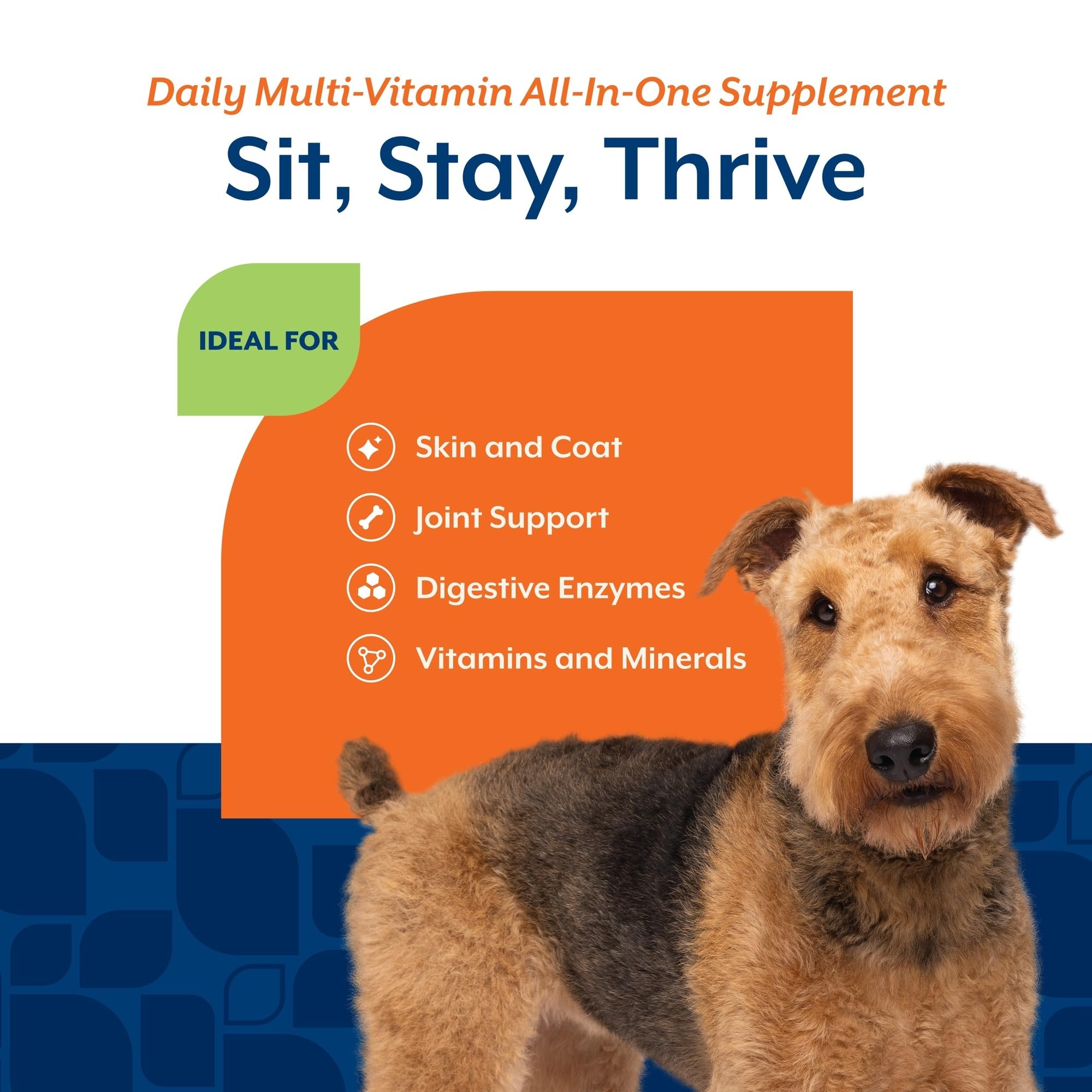 NaturVet All-in-One vitamins minerals chews for overall daily wellness.