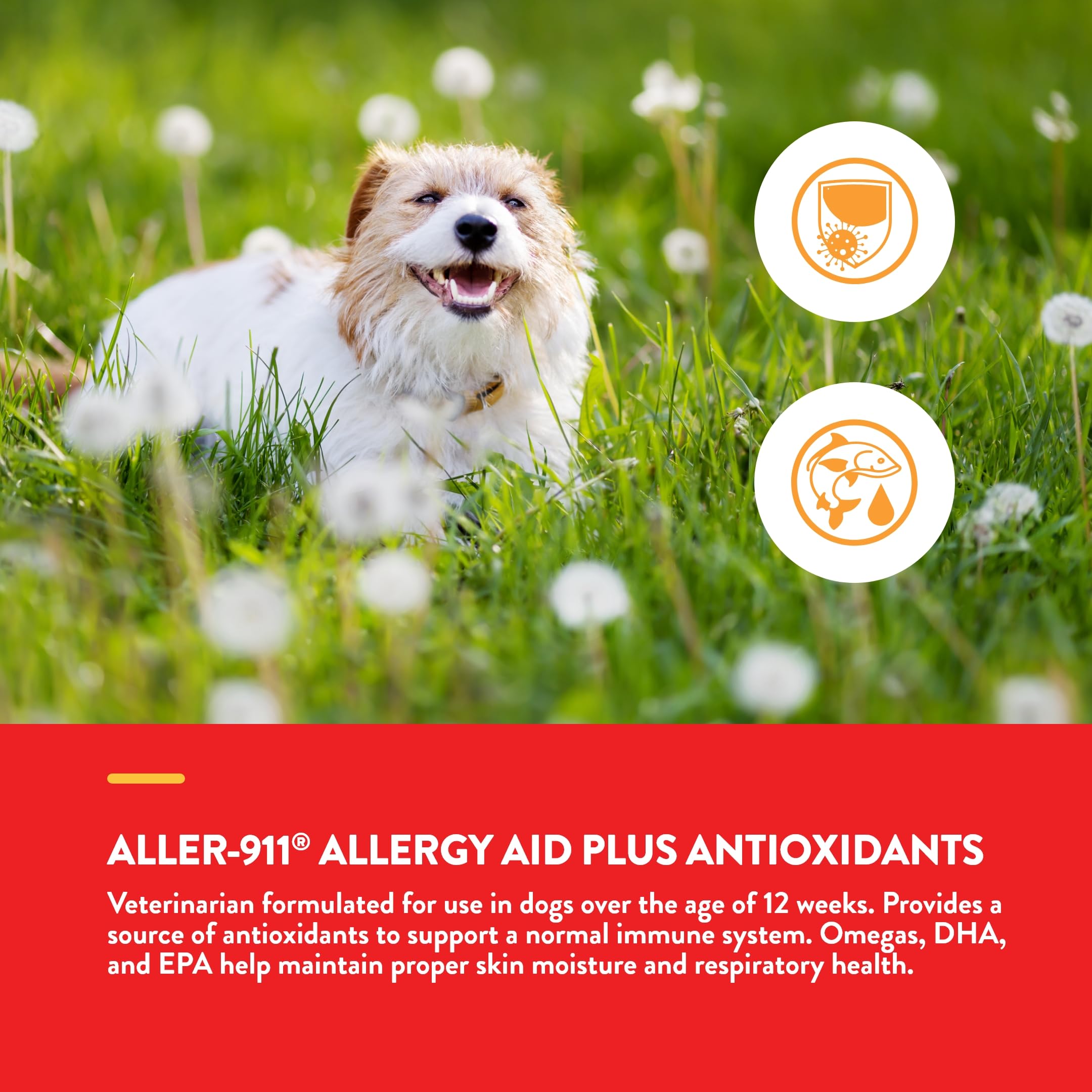 NaturVet Aller-911 cat treat close-up shows easy daily supplement.