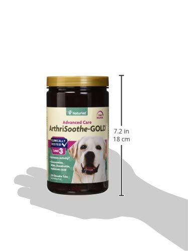 NaturVet ArthriSoothe-GOLD dog chew with a playful dog