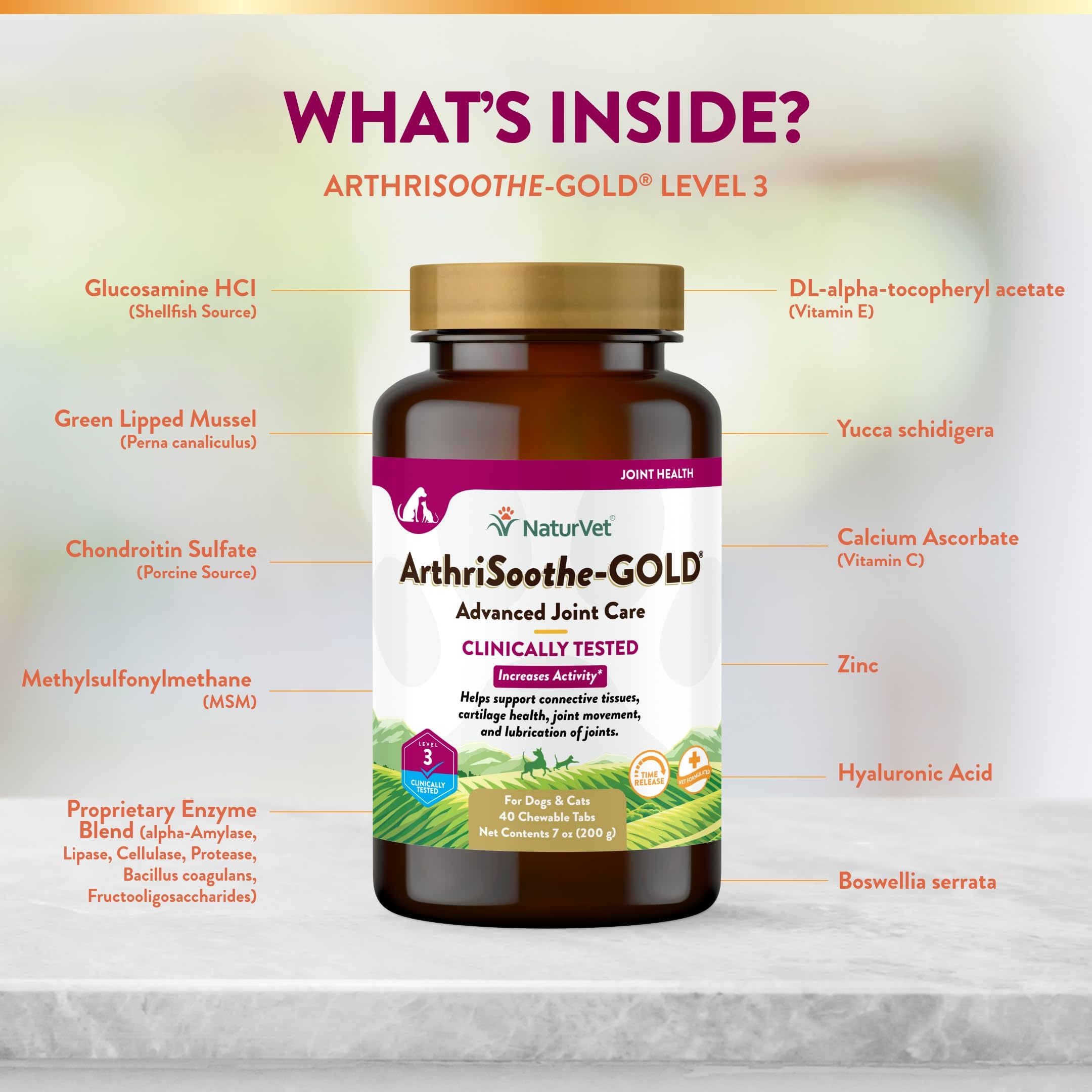 NaturVet ArthriSoothe-GOLD chew tablets used during playtime for joint care.