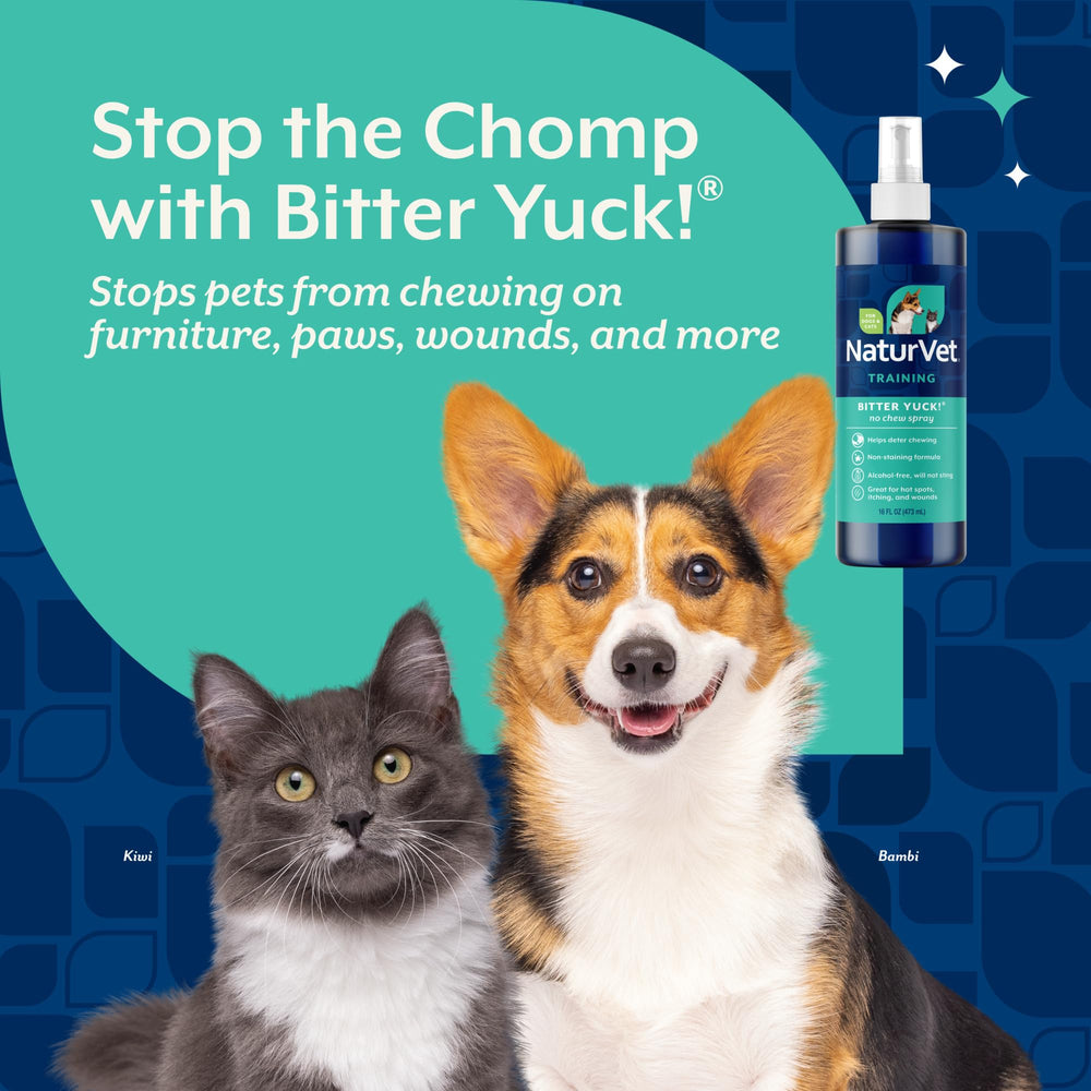 NaturVet Bitter Yuck spray near cat area helps reduce chewing temptations.