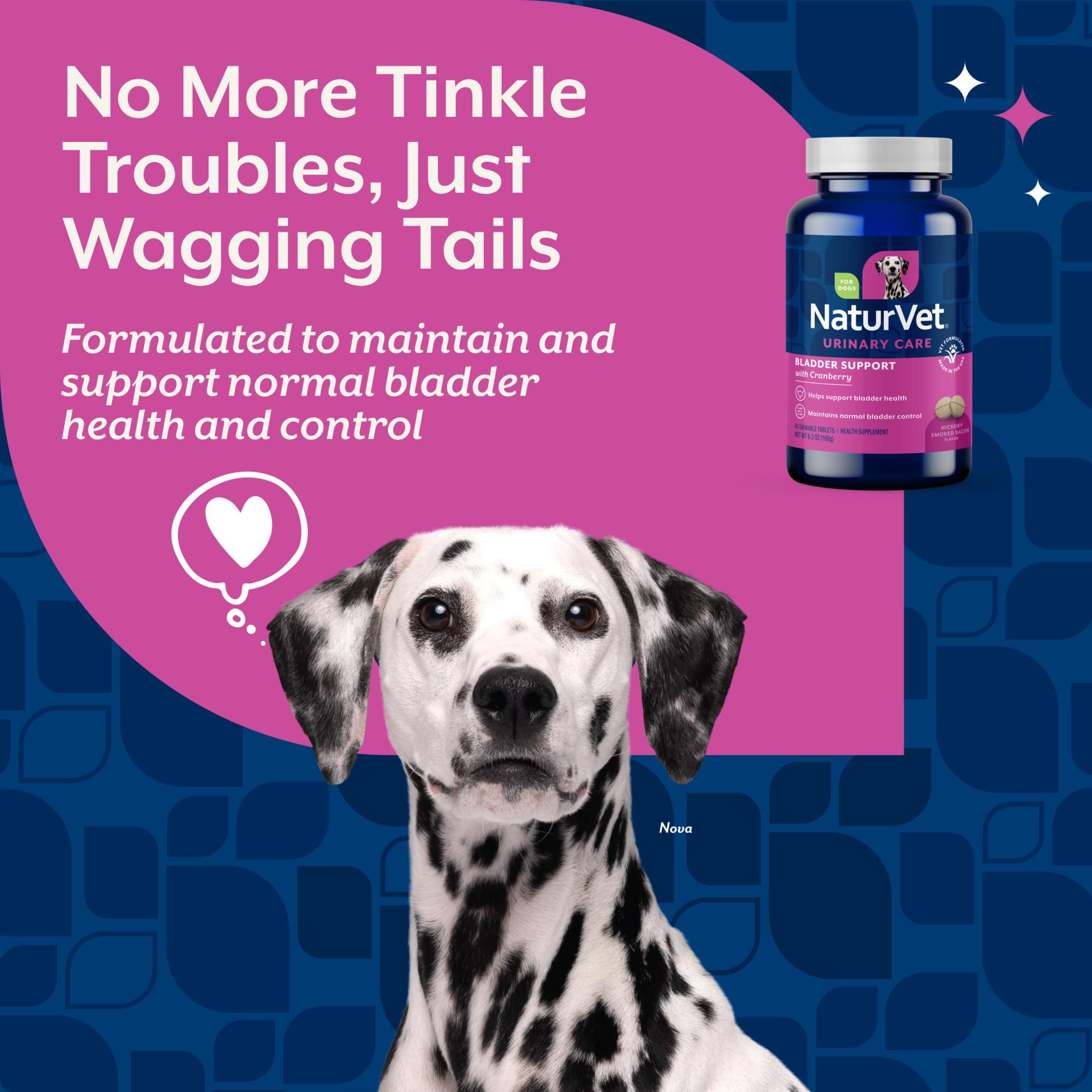 NaturVet cranberry formula for dogs displayed near a leash indicating consistent daily bladder health support
