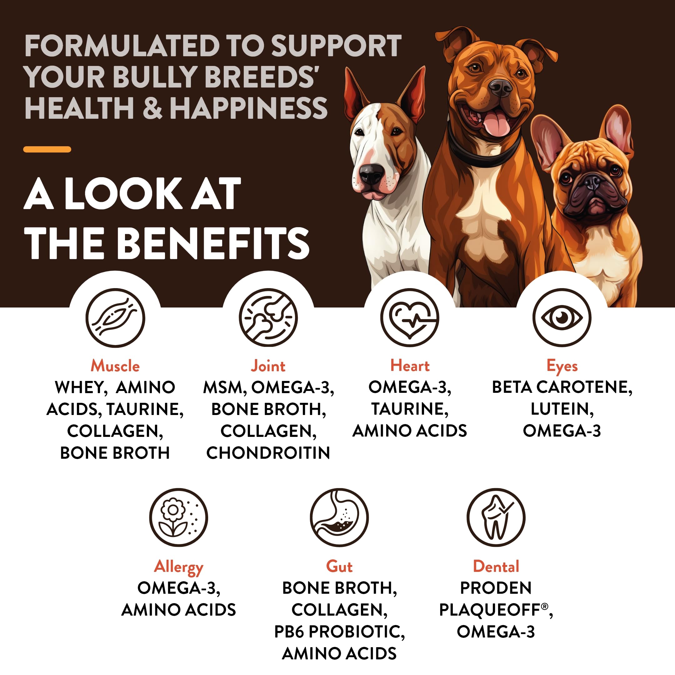 NaturVet Bulldog Breed Supplement coat and skin care for healthy shine.