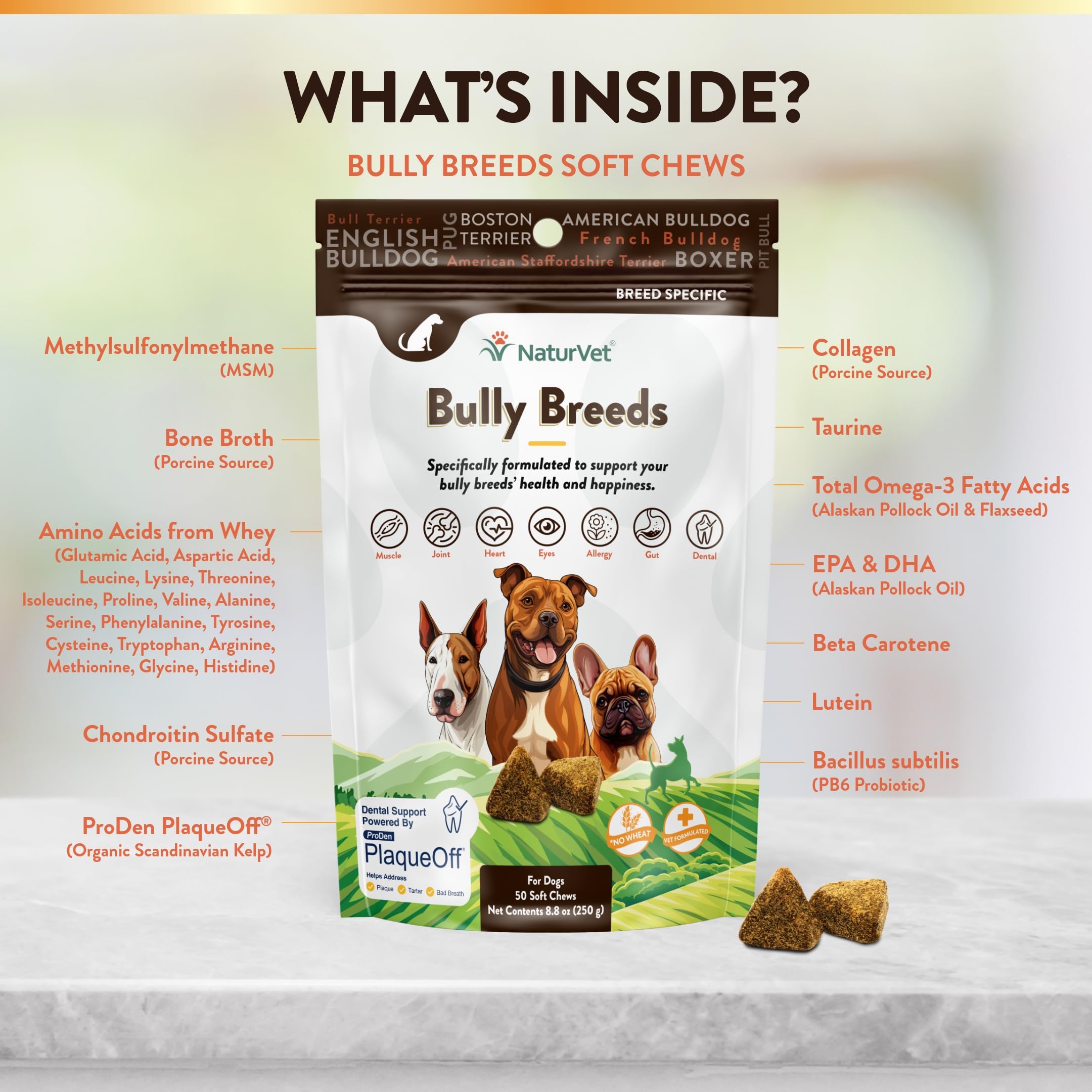 NaturVet Bulldog Breed Supplement digestive health supports a balanced gut.