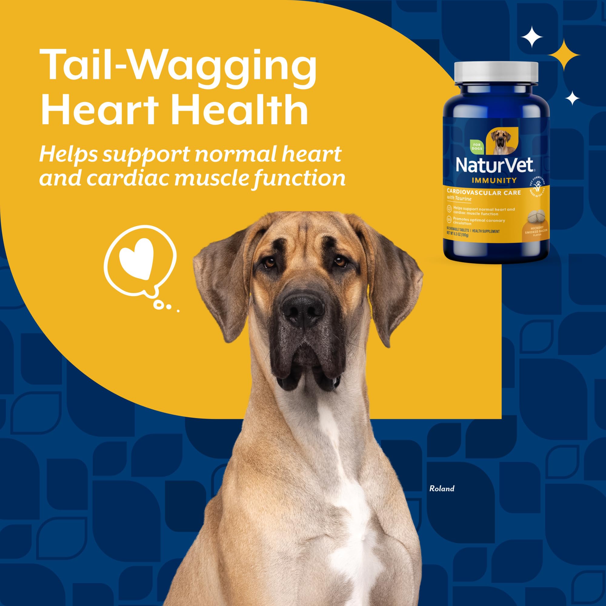 NaturVet Cardiovascular Support L-Carnitine image supports energy during activity
