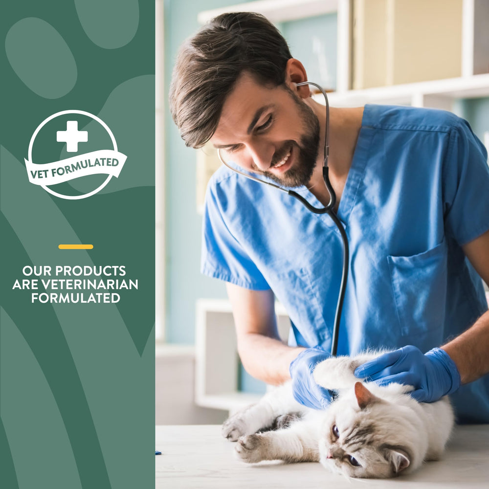NaturVet Hemp Joint Health for Cats mobility routine with soft chews.
