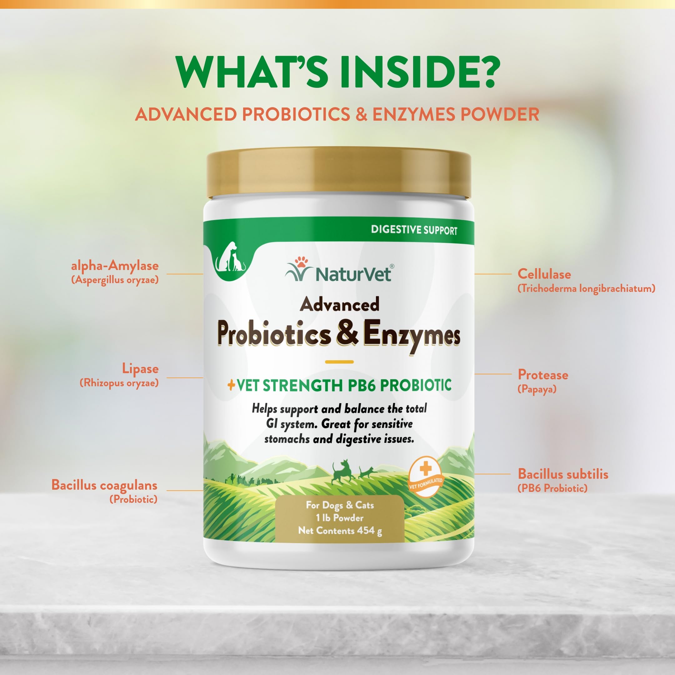NaturVet cat sensitive stomach probiotic supplement powder supports calm digestion.