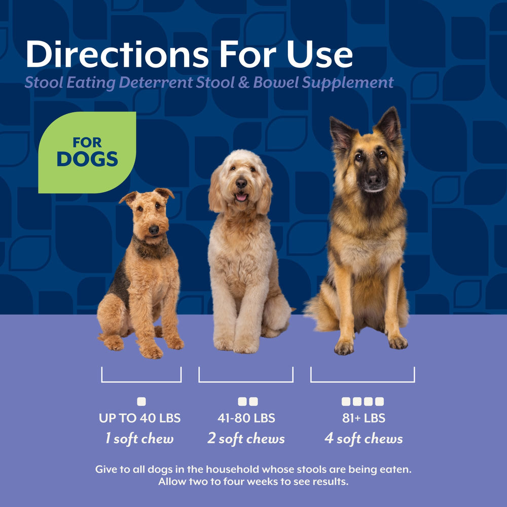 NaturVet Coprophagia Deterrent Soft Chews puppy-friendly use emphasizes gentle support for younger dogs