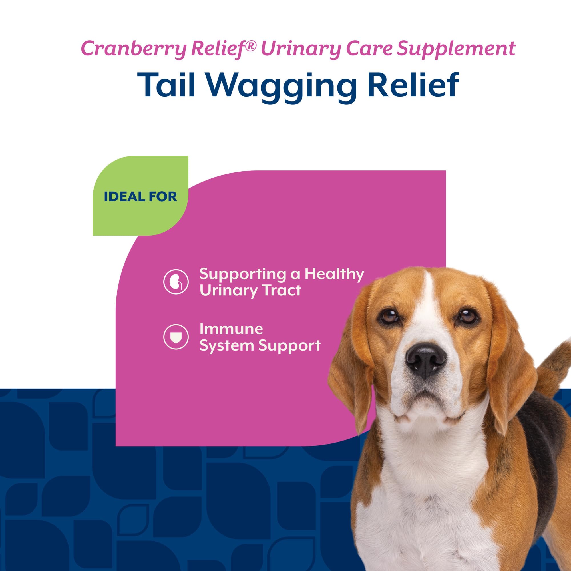 NaturVet Cranberry Relief Plus Echinacea dog chewing a treat with urinary health benefits