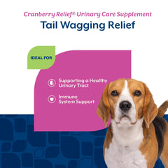 NaturVet Cranberry Relief Plus Echinacea dog chewing a treat with urinary health benefits