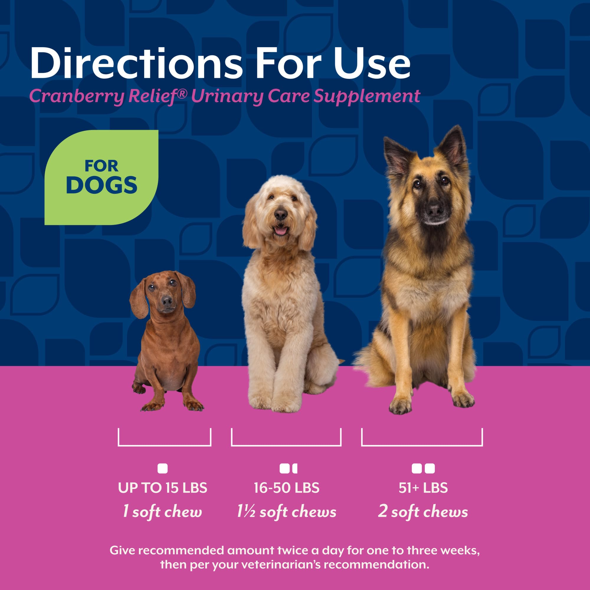 NaturVet Cranberry Relief Plus Echinacea label close-up with ingredients and dosage notes