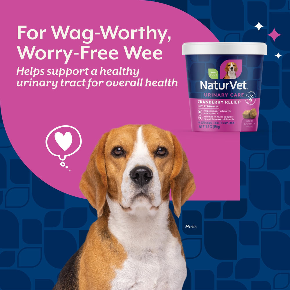 NaturVet Cranberry Relief Plus Echinacea packaging close-up, USA-made veterinarian formulation