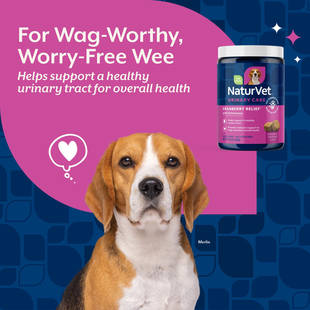 NaturVet Cranberry Relief Plus Echinacea chews on a dish, highlighting immune-friendly support.