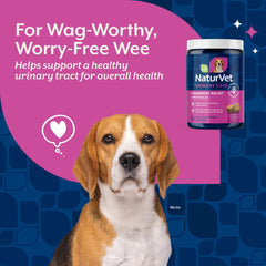 NaturVet Cranberry Relief Plus Echinacea chews on a dish, highlighting immune-friendly support.