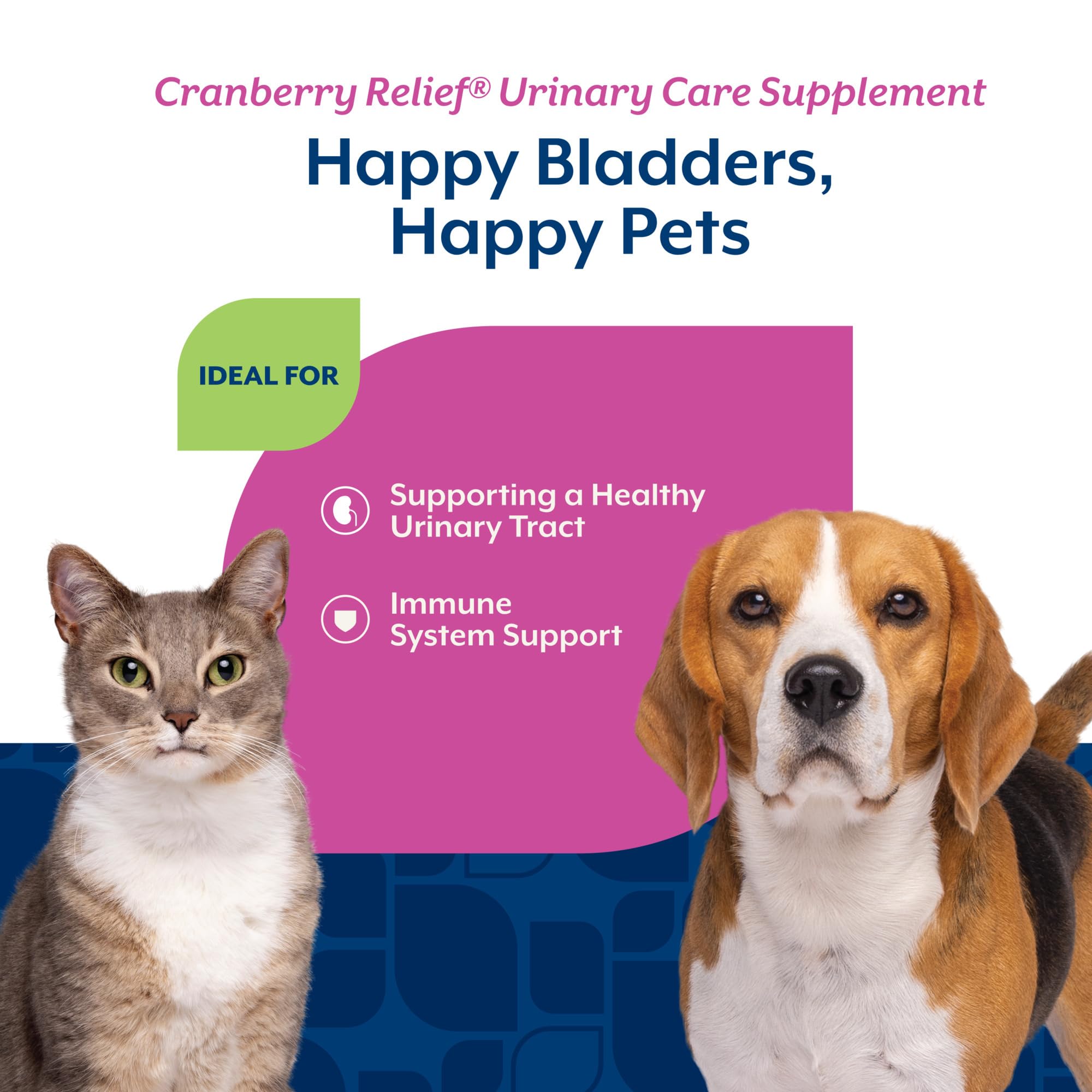 NaturVet Cranberry Relief Plus Echinacea dog meal-mixer shown in a bowl.