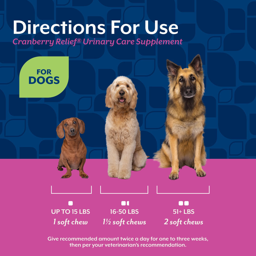 NaturVet Cranberry Relief Plus Echinacea ingredients panel close-up.