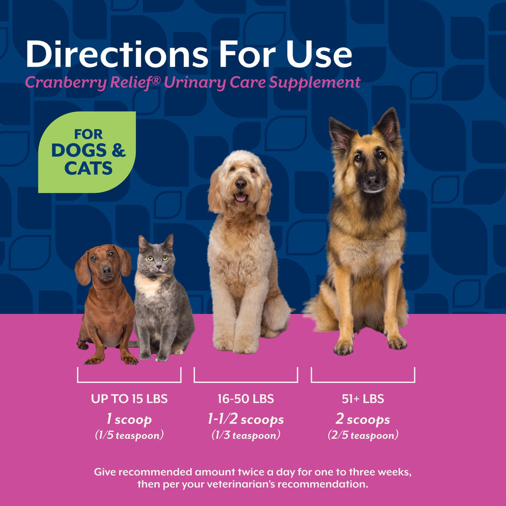 NaturVet Cranberry Relief Plus Echinacea urinary-health illustration for pet care.