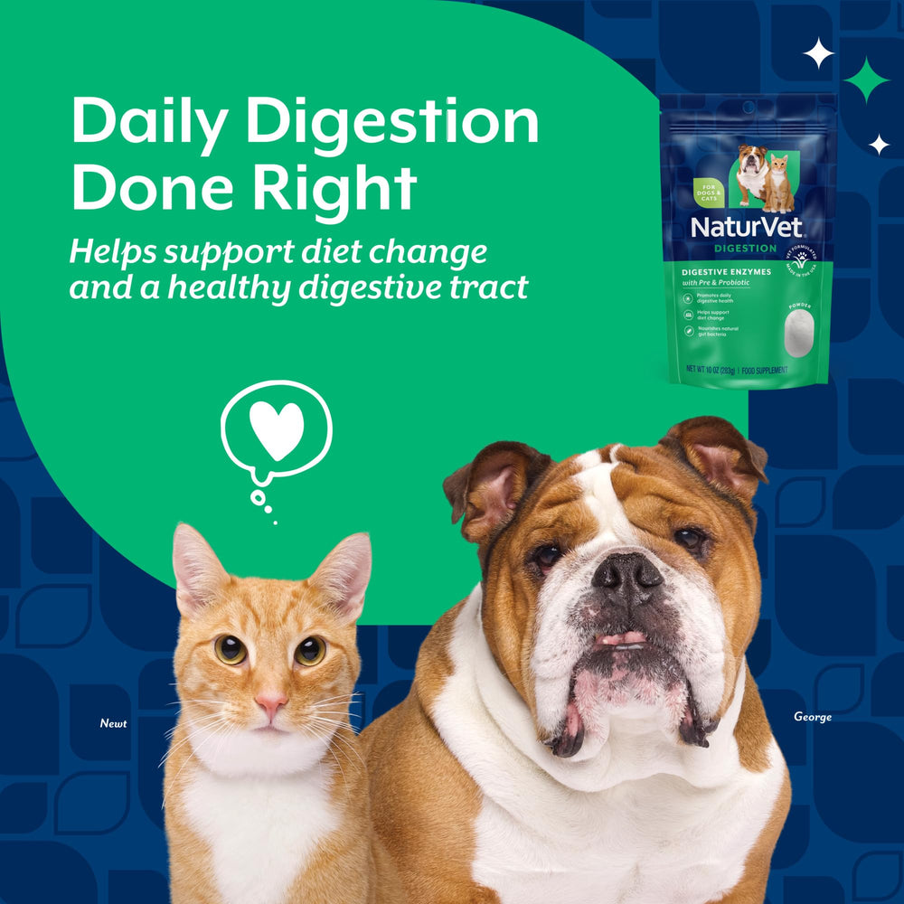 NaturVet Digestive Enzymes powder added to dog bowl at mealtime.