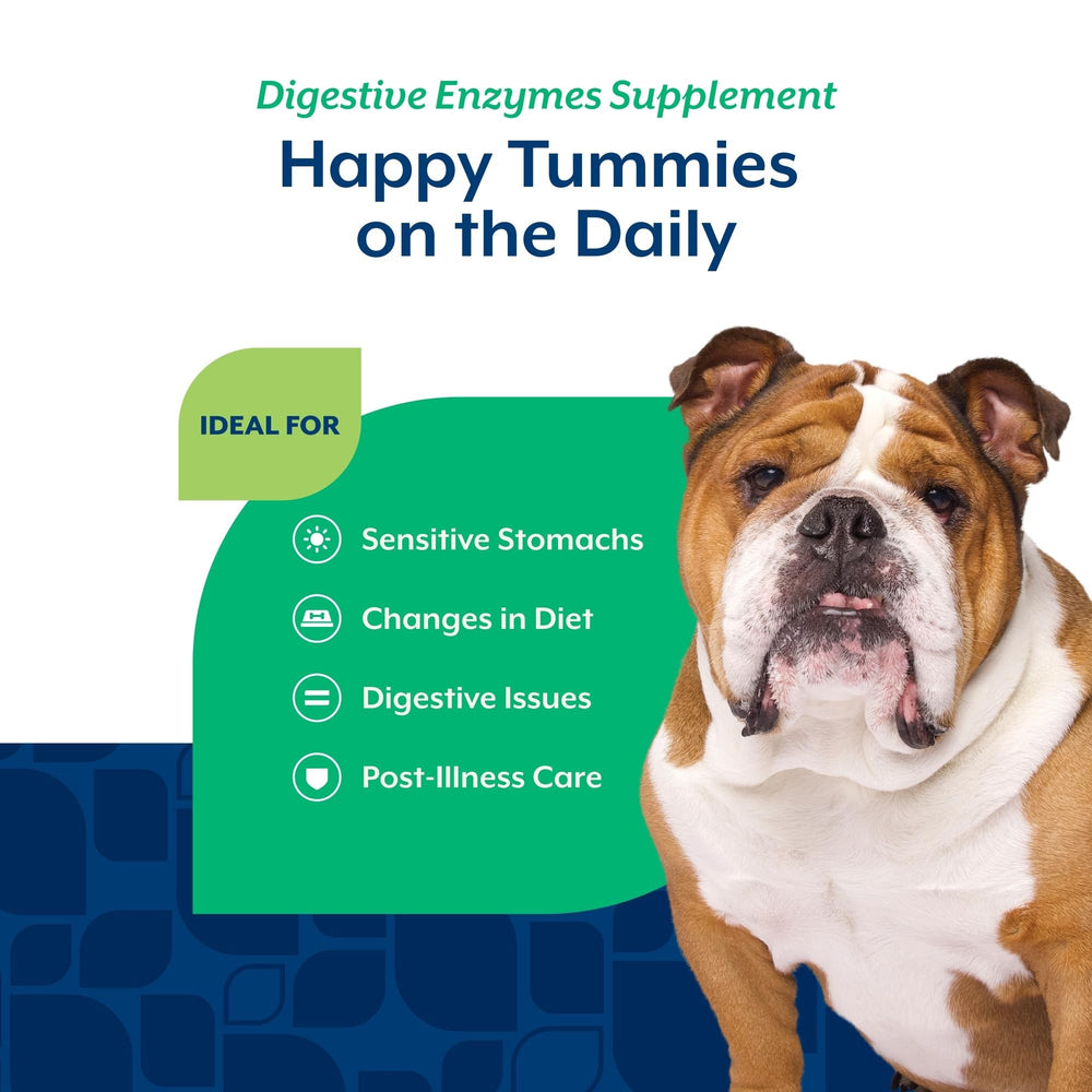 NaturVet Digestive Enzymes aid dogs with sensitive stomachs and flatulence.