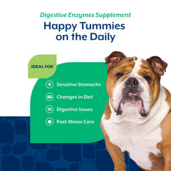 NaturVet digestive enzymes soft chews served in a bowl, convenient for daily routines.