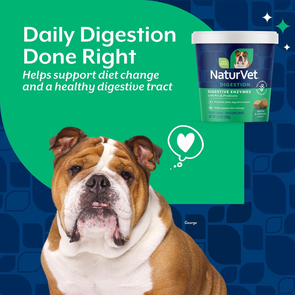 NaturVet Digestive Enzymes support during food transitions for easier digestion.