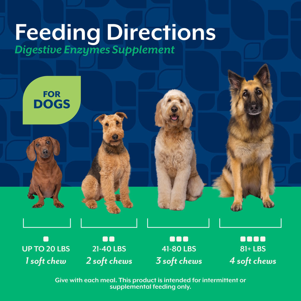 NaturVet Digestive Enzymes veterinarian formulated label signals trusted care.