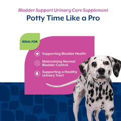 NaturVet dog enjoying cranberry soft chews; potential urinary support in daily routine