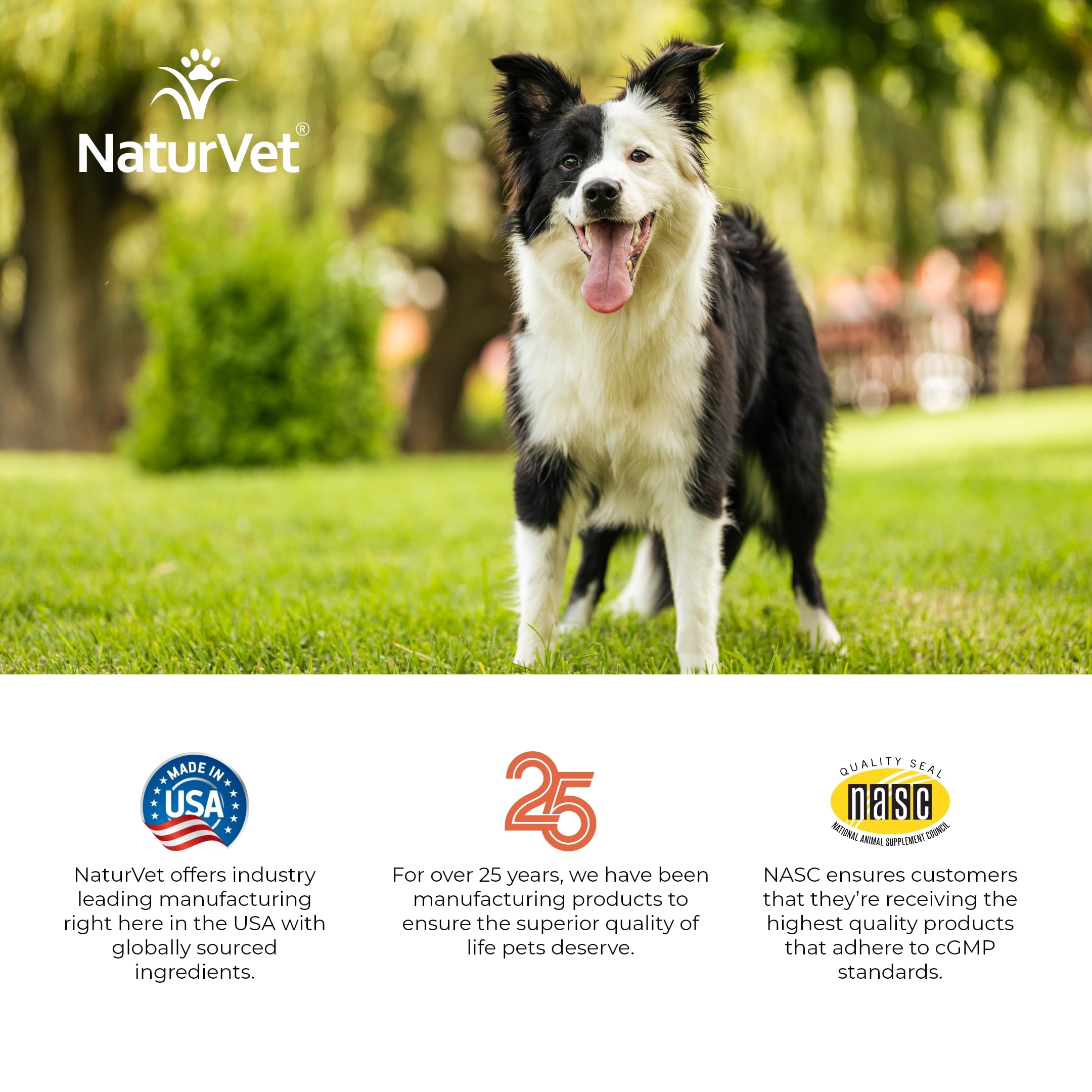 NaturVet Soft chews ready to serve beside a dog bowl.