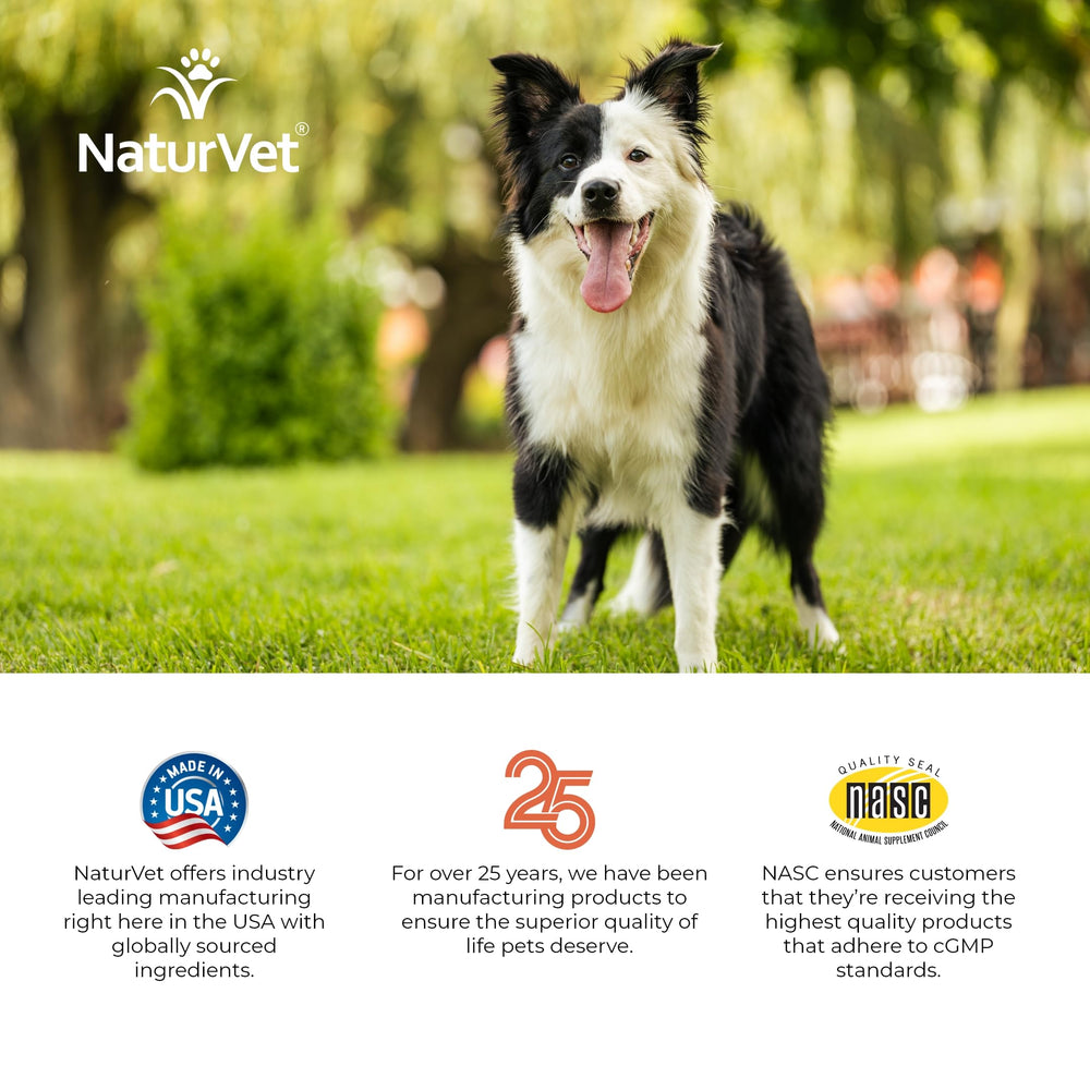 NaturVet Soft chews ready to serve beside a dog bowl.
