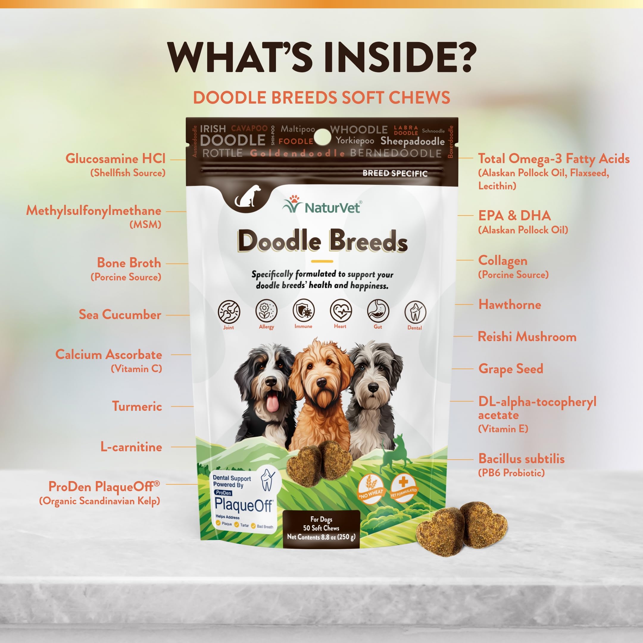 NaturVet Doodle Breeds joint support image highlights mobility and comfort.